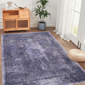 Area Rug 3x5, Washable Rug, Low-Pile, Non-Slip, Non-Shedding, Foldable, Kid & Pet Friendly - Area Rugs for living room, bedroom, kitchen