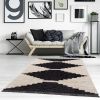 Black & Ivory Modern Area Rug